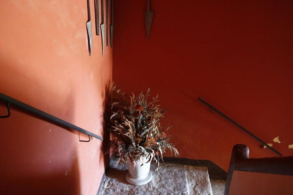 Masia Cal Millas - Turisme Rural Castellfullit de Riubregos Экстерьер фото